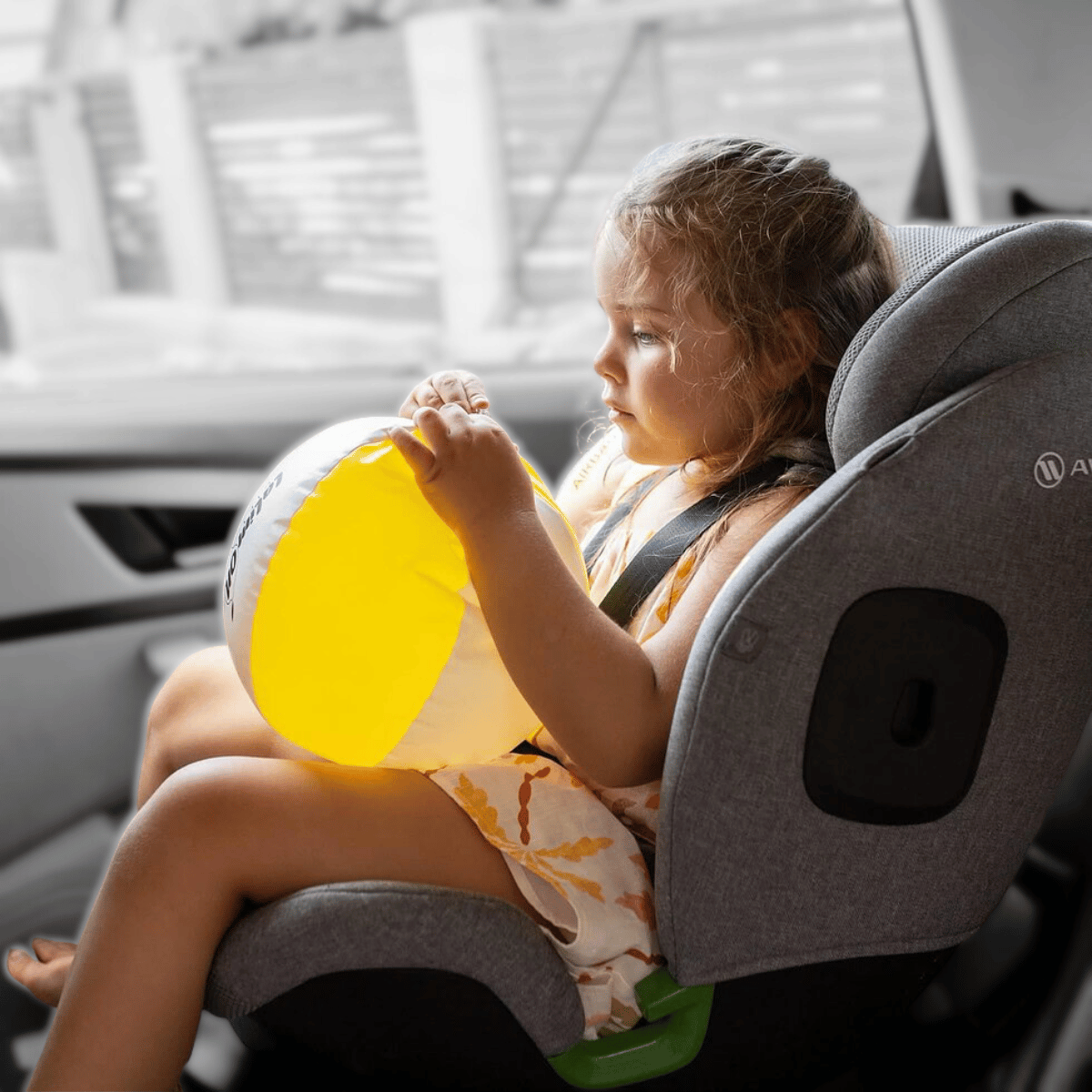 BLOG - fotka v článku - 2026-01-30T094236.950